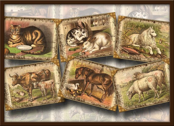 Farm Animals Fun Vintage Art Tags Cards Labels Cats Dogs Goats Horses 