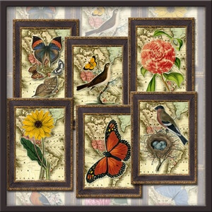 Vögel Schmetterlinge Blumen auf alte Landkarte Hintergrund-Cottage Chic Tags/Karten/Etiketten- INSTANT DOWNLoAD-Printable Collage Sheet JPG Digitale Datei