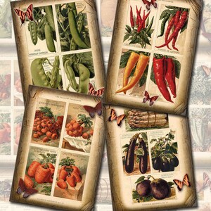 Farmer&#39;s Market Tattered Tags/Cards/Labels- VeGETABLEs- RuSTiC Vintage Art - INSTaNT DOWNLoAD - Printable Collage Sheet JPG Digital File