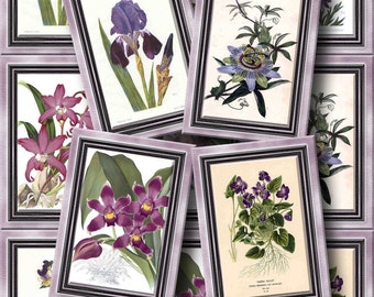 LaVENDER PuRPLE BLuE Flowers/Orchids/Pansies - INSTaNT DOWNLoAD - CHaRMiNG Vintage Art Tags/Cards -Printable Collage Sheet JPG Digital File