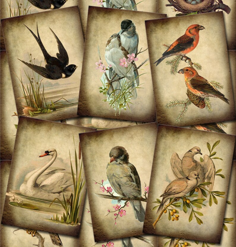 BIRDS In Nature PRiMiTiVe Romantic Vintage ArT TaGS/CaRDS INSTaNT DOWNLoAD Printable Collage Sheet Download JPG Digital File image 1