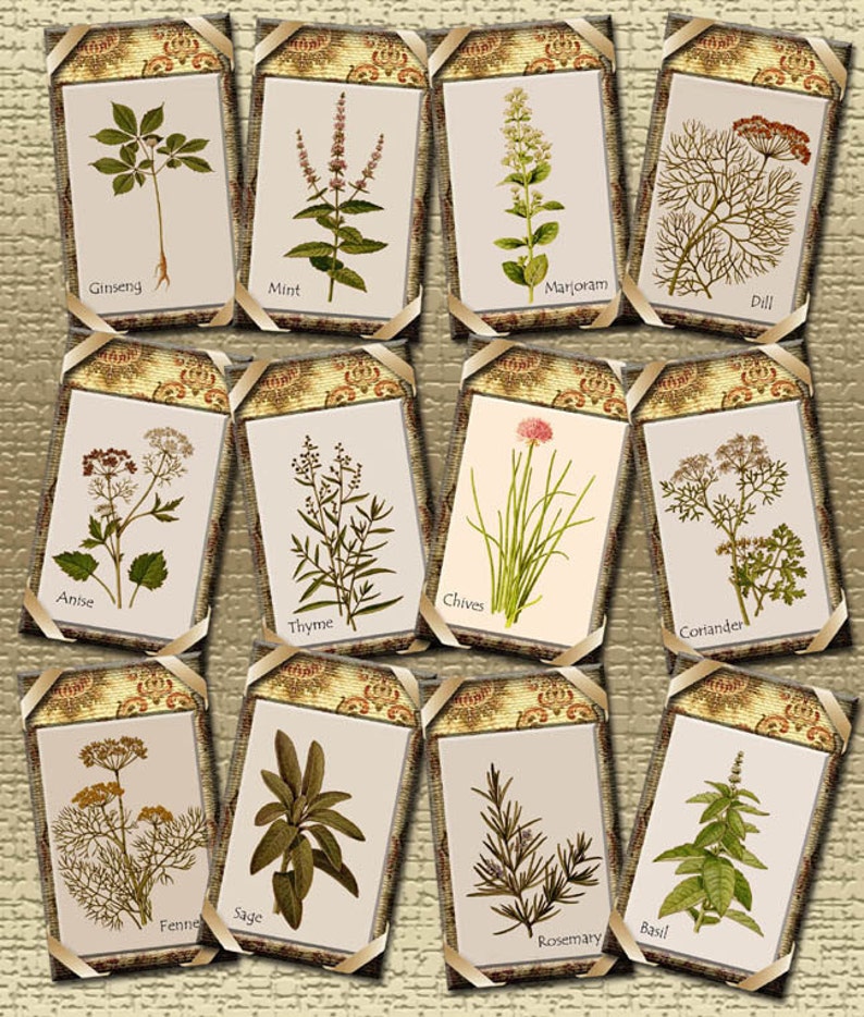 HERBS charming Primitive Hang/gift Tags/cardsinstant Etsy