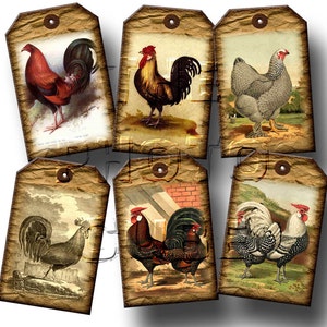 RooSTeRS, Chickens -Barn Yard Touch- 20 Rustic Vintage Art Mini Hang/Gift Tags - INSTANT DOWNLoAD - Printable Collage Sheet JPG Digital File