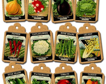 May include: Vintage seed packet tags with illustrations of various vegetables, including squash, radish, eggplant, cabbage, pepper, cauliflower, bush beans, celery, watermelon, tomato, and carrot. Each tag features the text "CARD SEED Co."