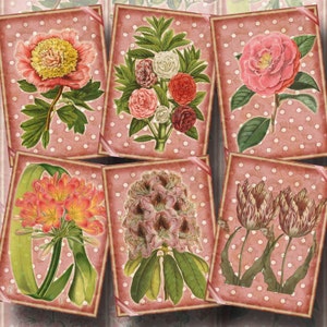 Etiquetas de presente/etiquetas de pendurar florais envelhecidas e rosa surradas com bolinhas - DOWNLOAD INSTANTÂNEO - Folha de colagem para impressão em arquivo digital JPG