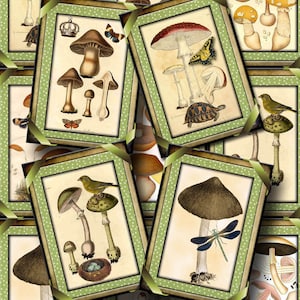 Champignons ToADStools - Vintage Art étiquettes/cartes/étiquettes - TÉLÉCHARGEMENT IMMÉDIAT - feuille de collage imprimable à télécharger JPG