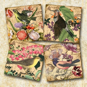 Oiseaux et fleurs-sous-verres/carreaux -4 x 4 pouces ET 2 x 2 pouces-très fantaisiste-téléchargement instantané-charmant feuille de collage imprimable fichier numérique JPG