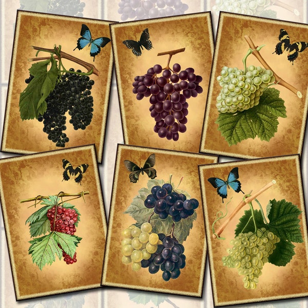 GRAPES -Wine Country- Vineyard-Vintage ARt Hang/Gift Tags/Labels-INSTaNT DOWNLoAD-Printable Collage Sheet JPG Digital File