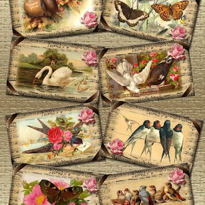VÖGEL, SCHWANG, SCHMETTERLING - Schöne Vintage Kunst - Tags/Karten/Etiketten - SOFORTIGER DOWNLOAD - Printable Collage Sheet