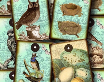 OWLs/ BiRD/s NeSTs/ eGGs- Aqua Blue Vintage Art Tags/Cards-INSTaNT DoWNLOAD- Printable Collage Sheet JPG Digital File