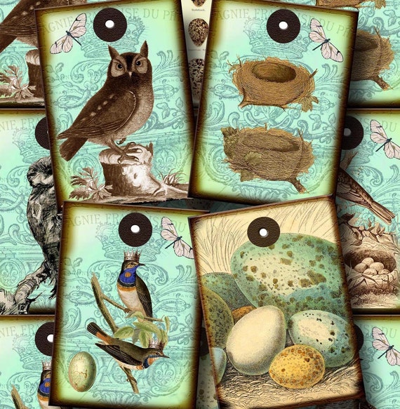 OWLs/ BiRD/s NeSTs/ eGGs- Aqua Blue Vintage Art Tags/Cards-INSTaNT DoWNLOAD- Printable Collage Sheet JPG Digital File Il_570xn