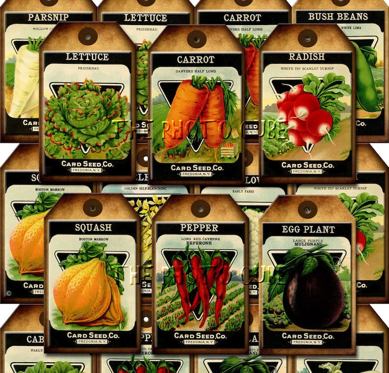 Vegetable Seed Packets rustic Vintage Art Tags/labels - Etsy