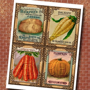 Vegetable Seed Packets Vintage Art 4x5 Cards/ - Etsy