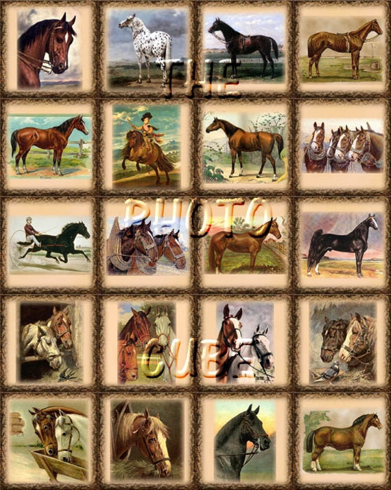 HORSES- PriMiTiVe Vintage Graphics- 20 2x2 Tags/Cards/Labels- INSTaNT DoWNLOAD-Printable Collage Sheet JPG Digital File