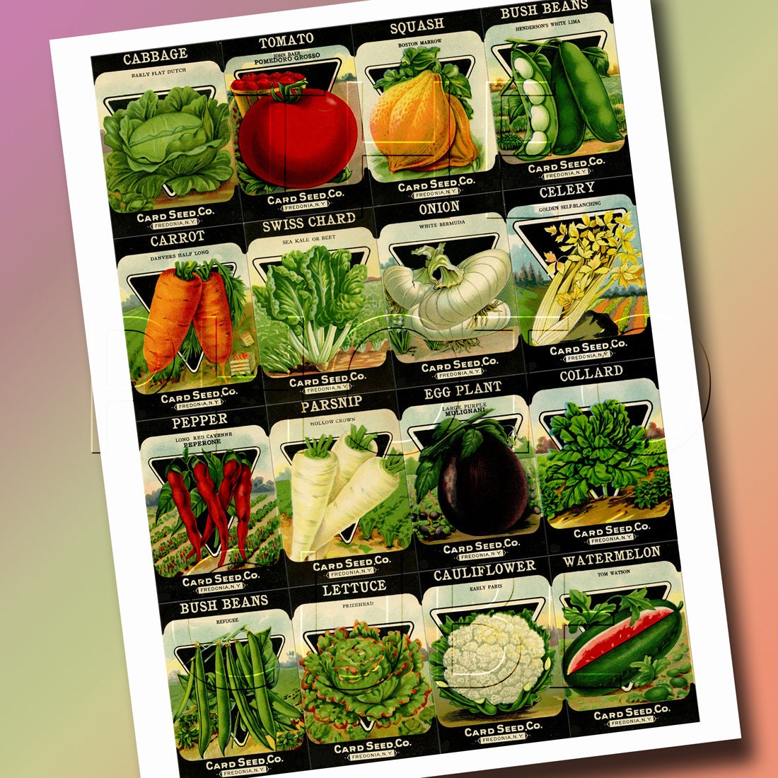 Vegetable Seed Notes JPG Digital File- Images of 16 Vegetable Seed Packets -vintage Colorful ...