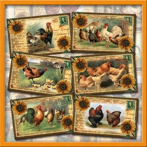 ROOSTER/Chicken PoStCaRds - Etiquetas/cartões de arte vintage antigos - DOWNLOAD INSTANTÂNEO - Folha de colagem para impressão - Arquivo digital JPG