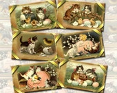 Il_170x135