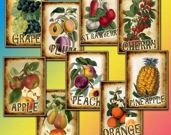 FRUIT- Vintage Graphics Tags/Cards -  Printable Collage Sheet JPG Digital File - Instant Download -Paper Crafts