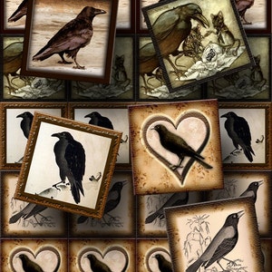 Puede incluir: Un collage de imágenes enmarcadas de estilo vintage con cuervos negros en varias poses. Las imágenes tienen un aspecto desgastado y antiguo con tonos marrones y beige. Algunas imágenes presentan una forma de corazón, mientras que otras representan cuervos con ratones o en un entorno natural.