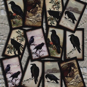 pRiMiTiVe Crow RaVeN Vintage Art Hang/Gift Tags/Cards/Labels -Printable Collage Sheet JPG Digital File- INSTaNT DOWNLoAD