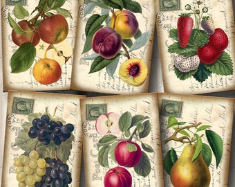 FRUIT-Grapes, Strawberries, Plums, Apples -CHaRMiNG Vintage Art Tags Cards Labels- Printable Collage Sheet JPG Digital File
