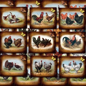 ChiCKeNS, RooSTeRS, TuRKeYS & GeeSe- Barnyard FoWL-Mini Tags/Cards/Labels - INSTaNT DOWNLoAD- Printable Collage Sheet JPG Digital File