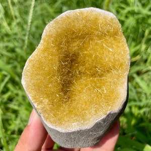 Può includere: Primo piano di una geode con un interno giallo dorato pieno di cristalli. La geode è parzialmente aperta, rivelando i cristalli all'interno. La geode è circondata da erba verde.