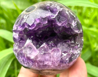 May include: A spherical amethyst geode with a polished exterior and a cavity filled with vibrant purple crystal formations. The geode is held against a backdrop of green foliage, highlighting its natural beauty.