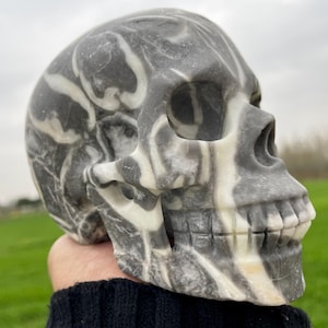 4.6''Natural shellstone skull,Crystal skull,Hand carving,Quartz Crystal skull,Home Decoration,Crystal Gifts,Crystal healing H14