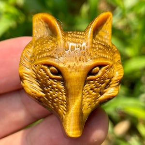 1.5&#39;&#39;+ Natural Tiger&#39;s eye jasper Fox skull ,Hand carved fox,Crystal fox skull,Quartz Crystal fox head,Home Decoration Gifts,Random 1pc