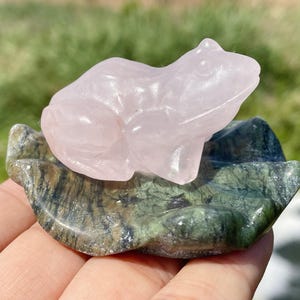 Cráneo de rana de cuarzo rosa: decoración curativa con cristales tallados a mano (6,35 cm)