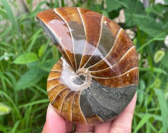 il_340x270.6920834172_ku4d.jpg