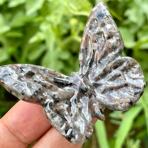 2.1&#39;&#39;+Natural yooperlite butterfly ,Quartz Crystal butterfly skull,Hand carved ,Home Decoration ,Crystal gifts,Crystal healing,Random 1pc