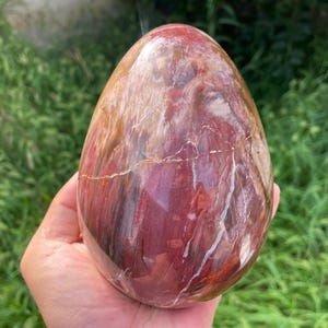 Puede incluir: Una piedra pulida con forma de huevo que presenta un patrón de remolinos en colores rojo oscuro, marrón y crema. La superficie es lisa y brillante, mostrando vetas minerales naturales y texturas orgánicas en toda la forma vertical.