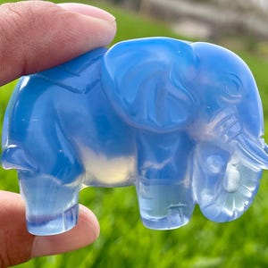 2,2 &#39;&#39;+ Blue Opal Stein Elefant, Hand geschnitzter Elefant, Kristall Elefant, Quarzkristall Schädel, Dekoration Geschenke, zufällig 1Stk