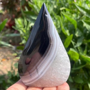 May include: A teardrop-shaped agate stone with a polished, glossy surface. The stone features bands of black, white, and grey, with a crystalline base. The natural stone is held in a hand, with green foliage in the background.