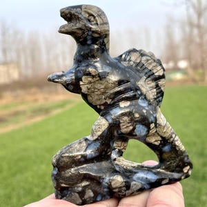 Teschio di dinosauro in pietra naturale Blue Point da 3,9&#39;&#39;, teschio di Macrospinosaurus in cristallo di quarzo, teschio intagliato a mano, teschio di cristallo, regali per la decorazione della casa/pz