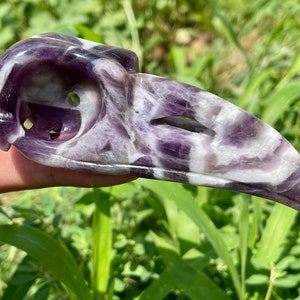 3,5&#39;&#39;+ natuurlijke dromerige amethist kraaienschedel, met de hand gesneden kraai, kristallen vogelschedel, kwartskristallen schedel, woondecoratiecadeaus, willekeurig 1 st