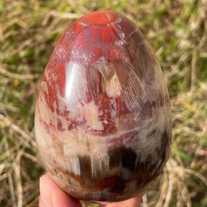 Naturalne jajko ze skamieniałego drewna: ręcznie robiony kryształowy element dekoracyjny o właściwościach leczniczych