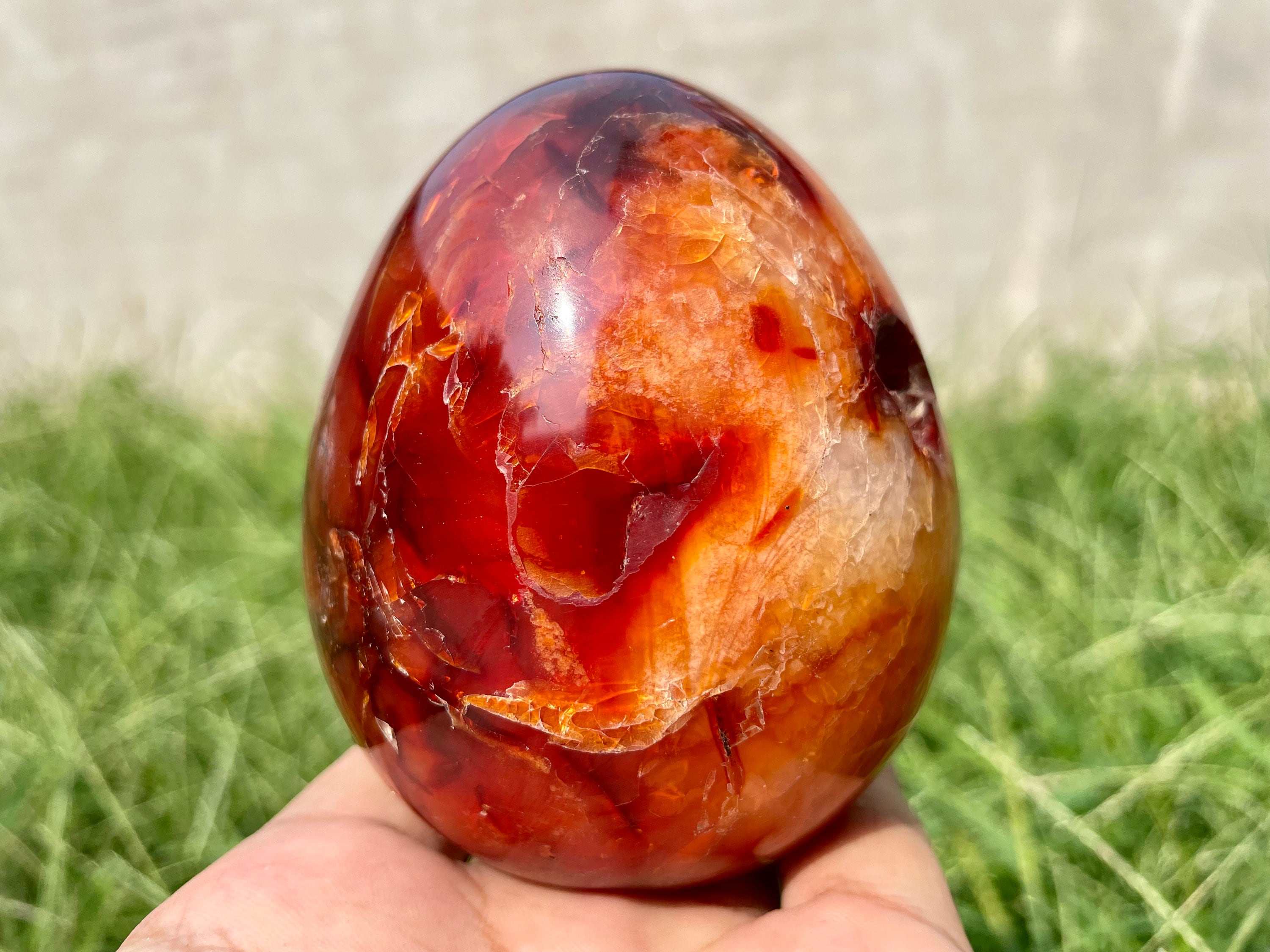 Carnelian Egg - Polished Stone | New Moon Beginnings