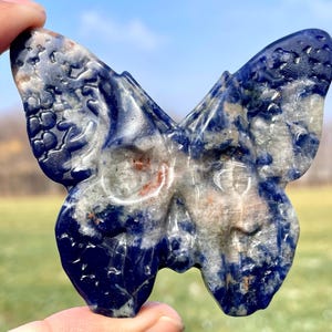 3.1&#39;&#39;+ Natural Sodalite butterfly skull,Hand carved butterfly,Crystal butterfly,Quartz crystal skull,Home Decoration Gifts,random 1pc