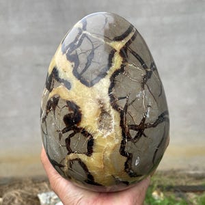 7.4&quot; Natural dragon septarian EGG,Quartz  Crystal EGG,Quartz egg,Crystal EGG,Crystal specimens,Home decoration,healing R558