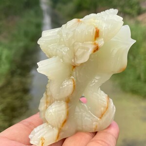 May include: A carved, off-white onyx sculpture with amber-colored veining. The sculpture has a detailed, organic form, possibly depicting a mythical creature or abstract design. The background is blurred, showing greenery.