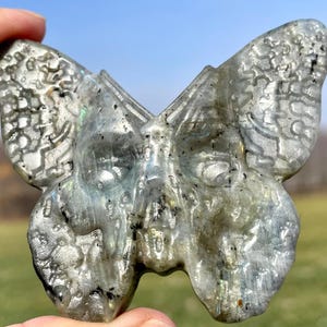 3.1&#39;&#39;+ Natural Labradorite butterfly skull,Hand carved butterfly,Crystal butterfly,Quartz crystal skull,Home Decoration Gifts,random 1pc