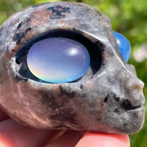 May include: A carved stone alien skull with iridescent blue and purple eyes. The skull is grey with black and white markings.