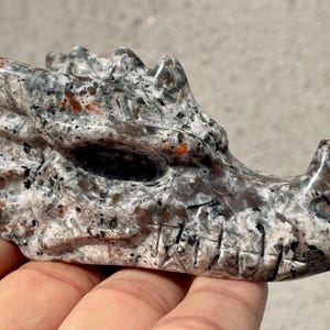 3.1&#39;&#39;+ Natural yooperlite stone dragon skull,Quartz crystal skull,Hand carved,Crystal dragon skull,Crystal dragon,Home Decoration Gifts 1pc