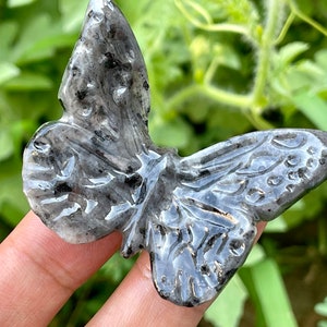 2.1&#39;&#39;+Natural flash stone butterfly ,Quartz Crystal butterfly skull,Hand carved ,Home Decoration ,Crystal gifts,Crystal healing,Random 1pc