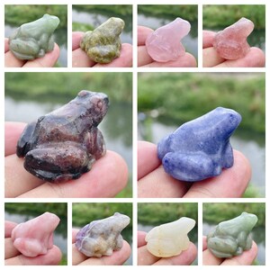 May include: A collection of small, carved frog figurines in various colors. The frogs are made of different types of stone, including green, pink, purple, and blue. Each frog is detailed with carved features and a smooth finish.