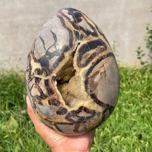 8.8&quot; Natural dragon septarian EGG,Quartz  Crystal EGG,Quartz egg,Crystal EGG,Crystal specimens,Home decoration,healing R613