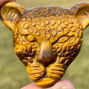 2&#39;&#39;+Natural tiger&#39;s eye jasper leopard skull ,Hand carved leopard,Crystal cheetah,Quartz Crystal cheetah,Home Decoration Gifts,random 1pc